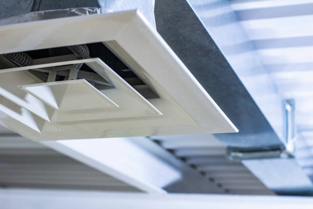Best Air Duct Mold Removal  in St Paul, VA