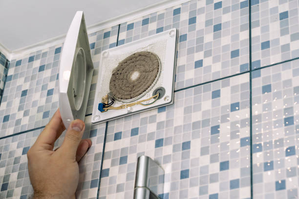 Air Duct Mold Removal in VA