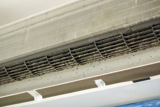 Best Commercial Air Duct Cleaning  in St Paul, VA